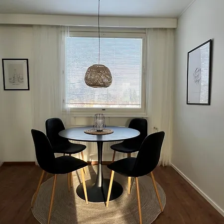 Oulunsalo Penthouse אולו